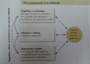 Components of an Attitude